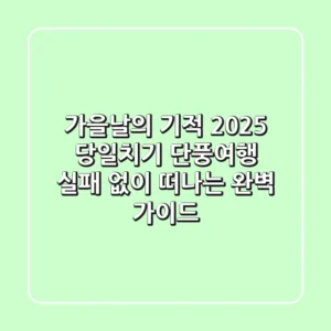 가을날의 기적: 2025 당일치기 단풍여행, 실패 없이 떠나는 완벽 가이드