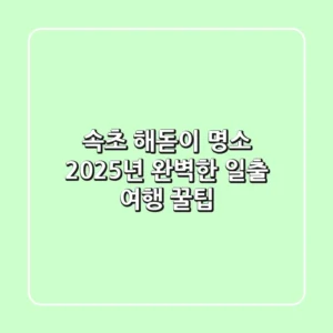속초 해돋이 명소, 2025년 완벽한 일출 여행 꿀팁