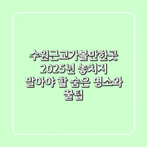 수원근교가볼만한곳, 2025년 놓치지 말아야 할 숨은 명소와 꿀팁