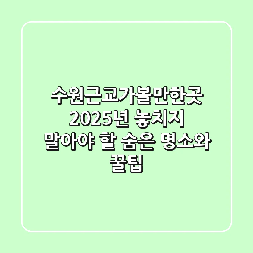 수원근교가볼만한곳, 2025년 놓치지 말아야 할 숨은 명소와 꿀팁
