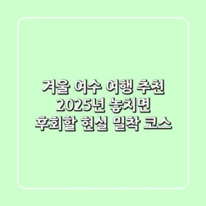 겨울 여수 여행 추천: 2025년 놓치면 후회할 현실 밀착 코스