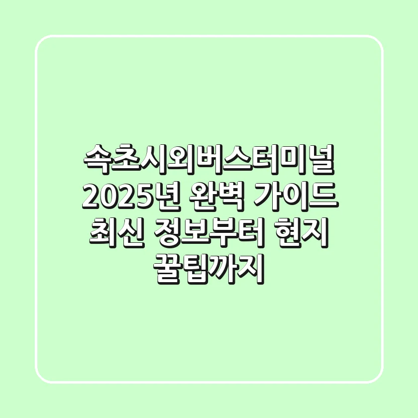 속초시외버스터미널 2025년 완벽 가이드: 최신 정보부터 현지 꿀팁까지!