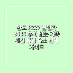 완도 P237 풀빌라 2025: 후회 없는 가족 & 애견 동반 숙소 선택 가이드