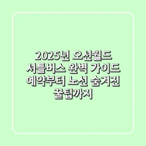2025년 오션월드 셔틀버스 완벽 가이드: 예약부터 노선, 숨겨진 꿀팁까지!
