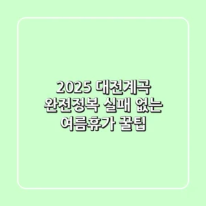 2025 대전계곡 완전정복: 실패 없는 여름휴가 꿀팁!