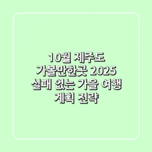 10월 제주도 가볼만한곳 2025, 실패 없는 가을 여행 계획 전략