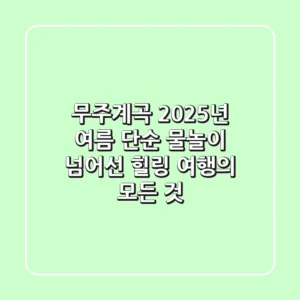 무주계곡: 2025년 여름, 단순 물놀이 넘어선 힐링 여행의 모든 것