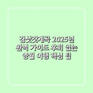 김삿갓계곡 2025년 완벽 가이드: 후회 없는 영월 여행 핵심 팁