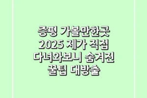 증평 가볼만한곳 2025: 제가 직접 다녀와보니… 숨겨진 꿀팁 대방출!