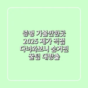 증평 가볼만한곳 2025: 제가 직접 다녀와보니… 숨겨진 꿀팁 대방출!