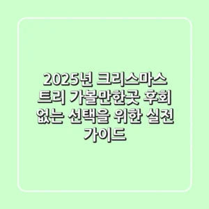 2025년 크리스마스 트리 가볼만한곳, 후회 없는 선택을 위한 실전 가이드 🌟