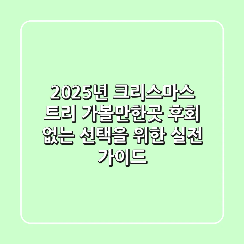 2025년 크리스마스 트리 가볼만한곳, 후회 없는 선택을 위한 실전 가이드 🌟