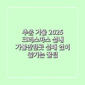 추운 겨울 2025 크리스마스 실내 가볼만한곳, 실패 없이 즐기는 꿀팁!
