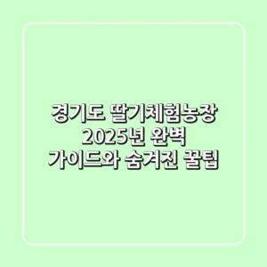 경기도 딸기체험농장, 2025년 완벽 가이드와 숨겨진 꿀팁!