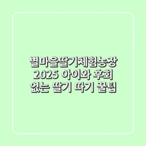 별마을딸기체험농장 2025, 아이와 후회 없는 딸기 따기 꿀팁
