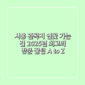 시흥 관곡지 연꽃 가는 길, 2025년 최고의 방문 꿀팁 A to Z