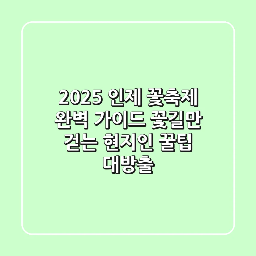 2025 인제 꽃축제 완벽 가이드: '꽃길'만 걷는 현지인 꿀팁 대방출!
