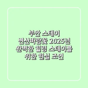 부안 스테이 변산바람꽃, 2025년 완벽한 힐링 스테이를 위한 현실 조언