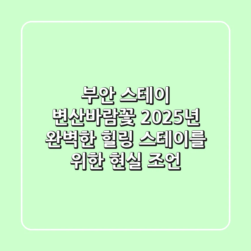 부안 스테이 변산바람꽃, 2025년 완벽한 힐링 스테이를 위한 현실 조언