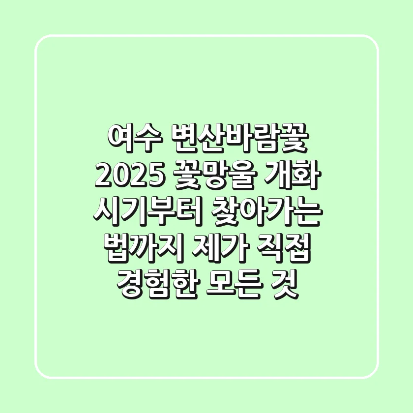 여수 변산바람꽃 2025: 꽃망울 개화 시기부터 찾아가는 법까지, 제가 직접 경험한 모든 것