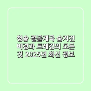청송 절골계곡, 숨겨진 비경과 트레킹의 모든 것 (2025년 최신 정보)