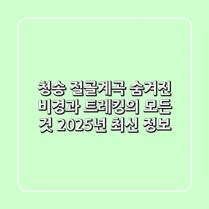 청송 절골계곡, 숨겨진 비경과 트레킹의 모든 것 (2025년 최신 정보)