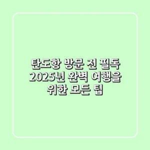 탄도항 방문 전 필독! 2025년 완벽 여행을 위한 모든 팁