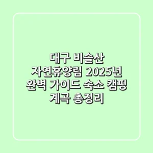 대구 비슬산 자연휴양림 2025년 완벽 가이드: 숙소, 캠핑, 계곡 총정리