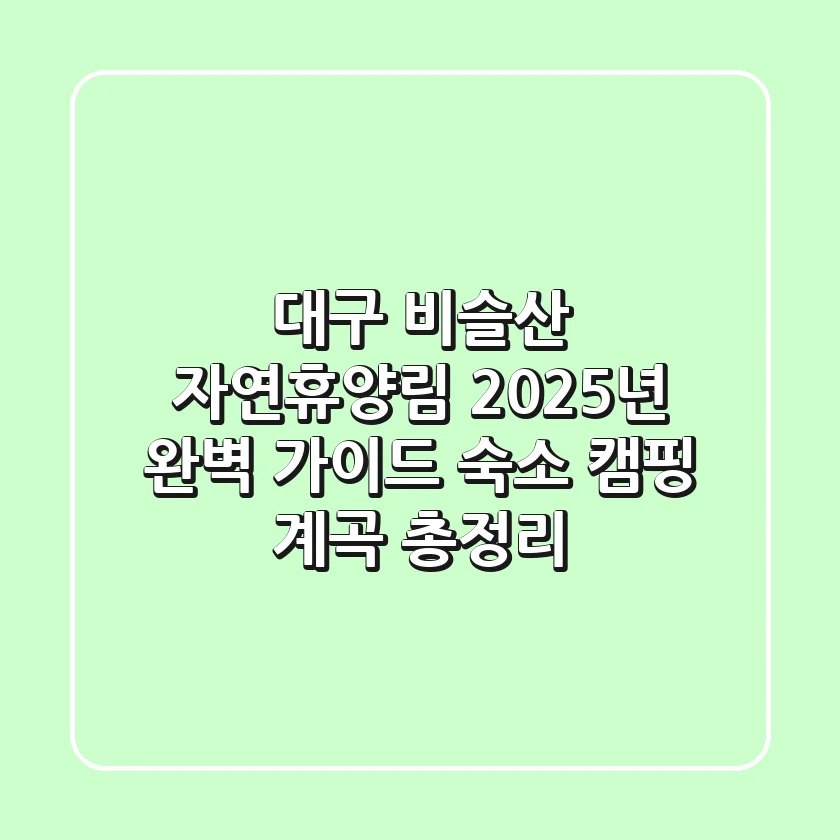 대구 비슬산 자연휴양림 2025년 완벽 가이드: 숙소, 캠핑, 계곡 총정리