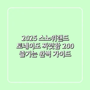 2025 스노위랜드 토네이도, 짜릿함 200% 즐기는 완벽 가이드!