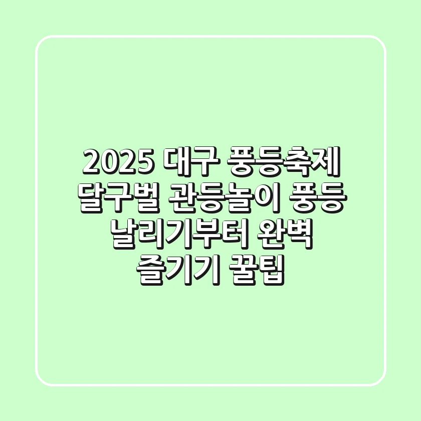 2025 대구 풍등축제 (달구벌 관등놀이): 풍등 날리기부터 완벽 즐기기 꿀팁!