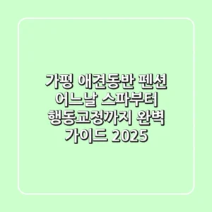 가평 애견동반 펜션 '어느날': 스파부터 행동교정까지 완벽 가이드 (2025)