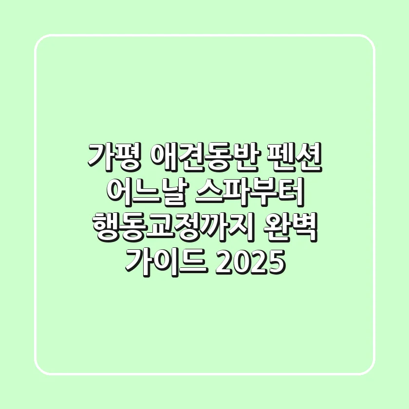 가평 애견동반 펜션 '어느날': 스파부터 행동교정까지 완벽 가이드 (2025)