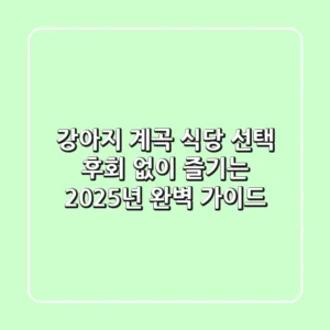 강아지 계곡 식당 선택? 후회 없이 즐기는 2025년 완벽 가이드!