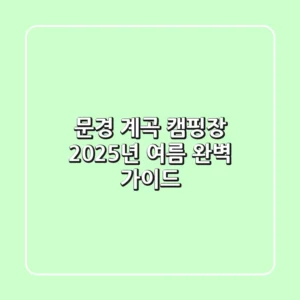 문경 계곡 캠핑장, 2025년 여름 완벽 가이드