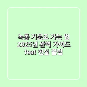 녹동 거문도 가는 법, 2025년 완벽 가이드 (feat. 현실 꿀팁)