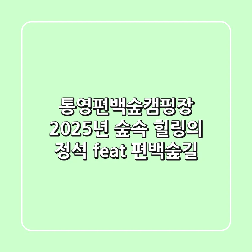 통영편백숲캠핑장, 2025년 숲속 힐링의 정석 (feat. 편백숲길)