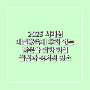 2025 서래섬 메밀꽃축제, 후회 없는 방문을 위한 현실 꿀팁과 숨겨진 명소