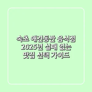 속초 애견동반 음식점, 2025년 실패 없는 맛집 선택 가이드