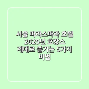 서울 파라스파라 호텔, 2025년 호캉스 제대로 즐기는 5가지 비법
