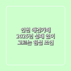 인천 애견카페, 2025년 실패 없이 고르는 현실 조언