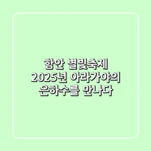 함안 별빛축제, 2025년 아라가야의 은하수를 만나다